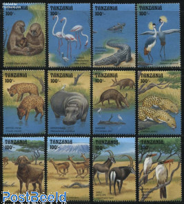 Animals 12v