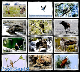 Birds of prey 12v (white borders)