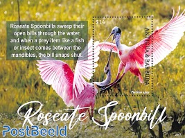 Roseate Spoonbill s/s
