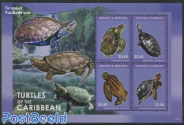 Turtles of the Caribbean 4v m/s