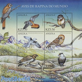 Birds of prey 6v m/s, Falco Sparverius