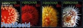Sea anemones 4v