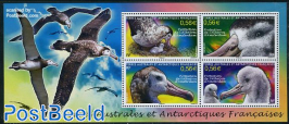 Amsterdam Island Albatross protection 4v m/s