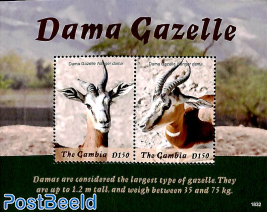 Dama Gazelle 2v m/s