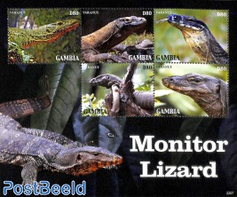 Monitor Lizard 5v m/s