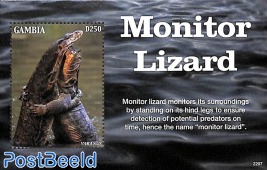 Monitor Lizard s/s