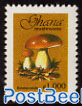 Definitive, mushroom 1v