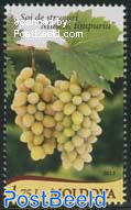 Grapes 1v