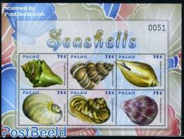 Shells 6v m/s