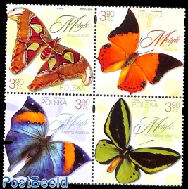 Butterflies 4v [+]