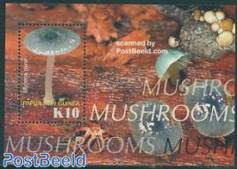 Mushroom s/s, Mycena pura