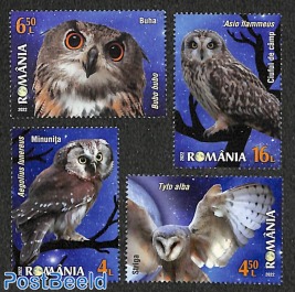 Owls 4v