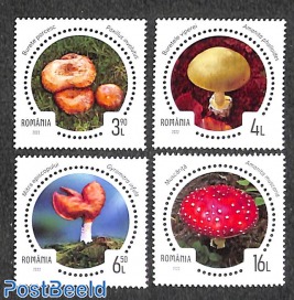 Mushrooms 4v