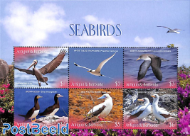 Seabirds 6v m/s