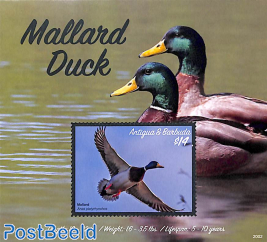 Mallard Duck s/s