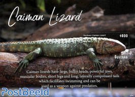 Caiman Lizard s/s