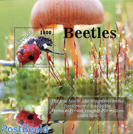 Beetles s/s
