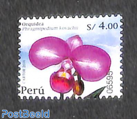Orchid 1v