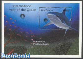 White shark s/s, Int. ocean year