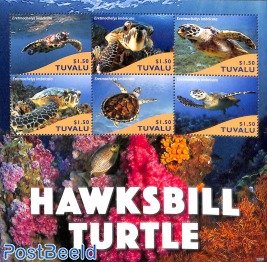 Hawksbill Turtle 6v m/s