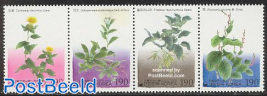 Tradional plants 4v [:::] or [+]