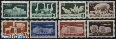 Economy 8v
