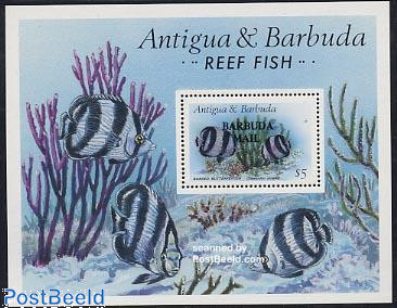 Reef fish s/s