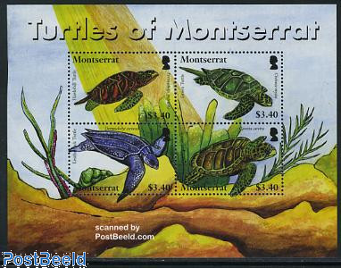 Turtles 4v m/s