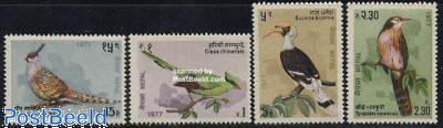 Birds 4v