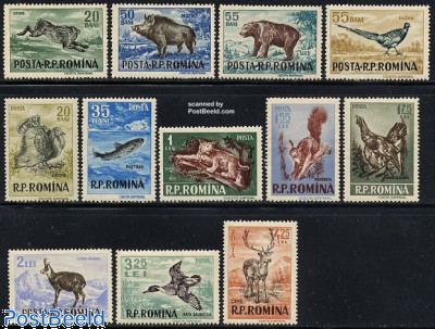 Animals for hunting 12v