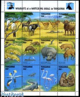 Animals 12v m/s