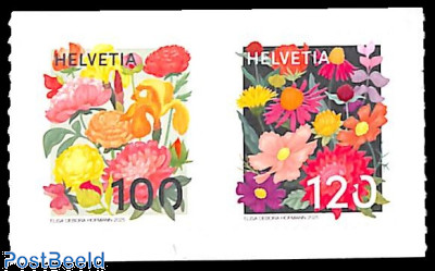 Flowers 2v s-a
