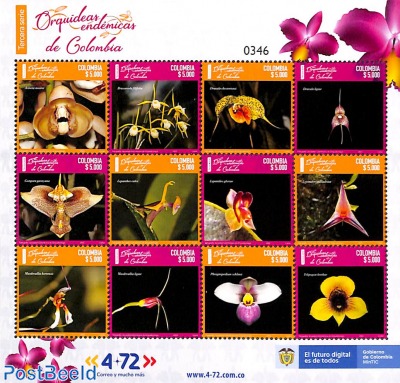 Orchids 12v m/s