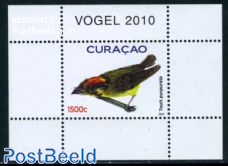 Birds s/s, Touit purpurata