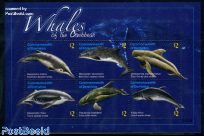 Whales 6v m/s