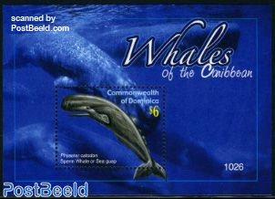 Whales of the Caribbean s/s