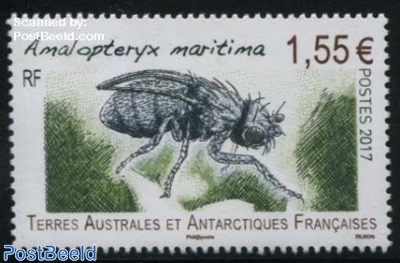 Amalopteryx Maritima 1v