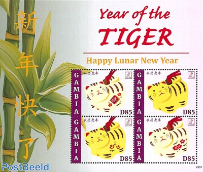 Year of the tiger m/s