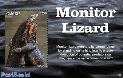 Monitor Lizard s/s