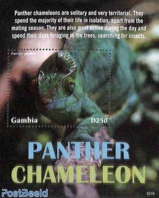 Panther Chameleon s/s