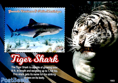 Tiger shark s/s