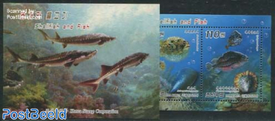 Fish & shells booklet