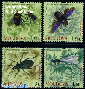 Insects 4v