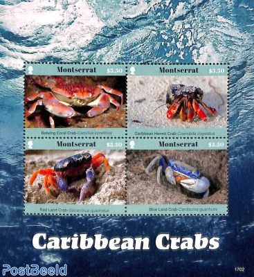 Caribbean Crabs 4v m/s