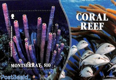 Coral reef s/s