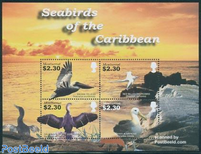 Caribbean sea birds 4v m/s