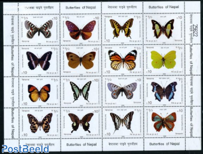 Butterflies 16v m/s