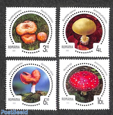 Mushrooms 4v