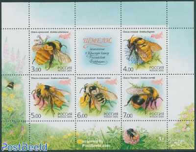 Insects 5v m/s, Bombus
