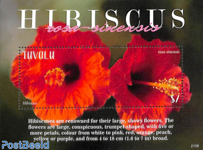 Hibiscus flowers s/s